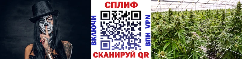 Купить  Городец  МАРИХУАНА Amnesia 